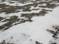 Snow at College Green