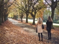 Photographing the autumn colours