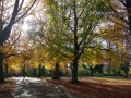 Autumn colours and shadows