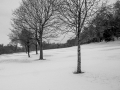 Snow on Henbury Golf Course