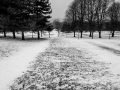 Snow on Henbury Golf Course