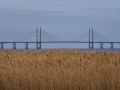 Second Severn Crossing