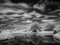 Holding pool in infra-red