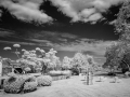 Art garden in infra-red