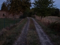 Path at dusk