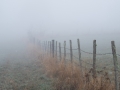Fence in the fog