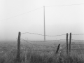 Fence and pylon in the fog