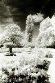 Barrington Court Gardens