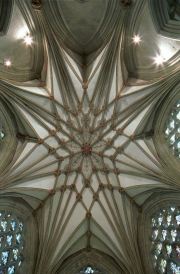 Cathedral Roof