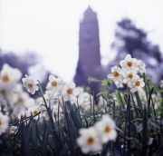 Cabot Tower