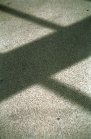 Shadow