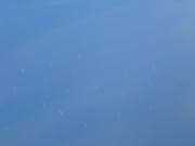 Windfarm
