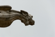 Gargoyle