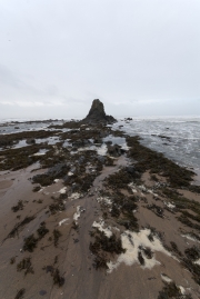 Widemouth Bay