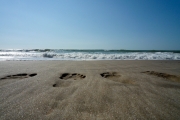 Footprints