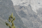 La Maije Glacier