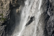 Alpine Waterfall