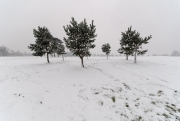 Snow on The Downs