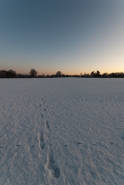 Footprints in the Snow