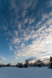 Winter Sky