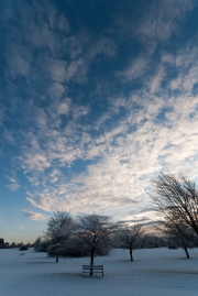 Winter Sky