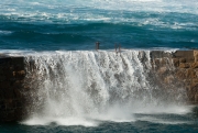 Harbour Wall