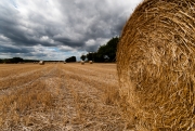 Straw Bale