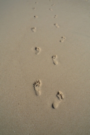 Footprints