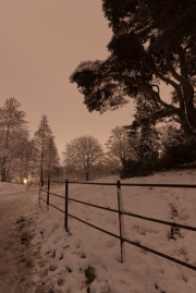 Snow at Night