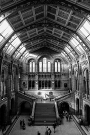 Natural History Museum