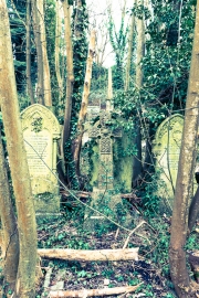 Overgrown Grave