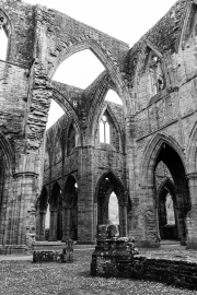 Ruined Abbey