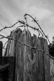 Barbed Wire