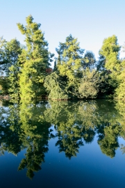 Charentes Reflection