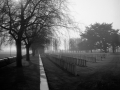 WWI Cemetary