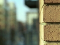 Bricks and Balconies