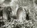 Overgrown Graves