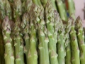 Asparagus