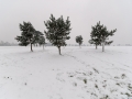 Snow on The Downs