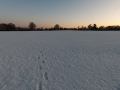 Footprints in the Snow