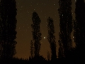 Stars and Trees