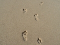 Footprints