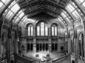 Natural History Museum