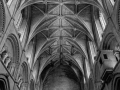 Vaulted Ceiling