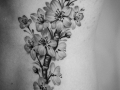 Cherry Blossom Tattoo