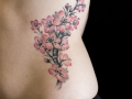 Cherry Blossom Tattoo