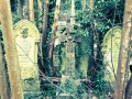 Overgrown Grave