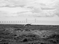 Second Severn Crossing