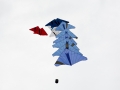 Kite