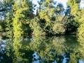 Charentes Reflection